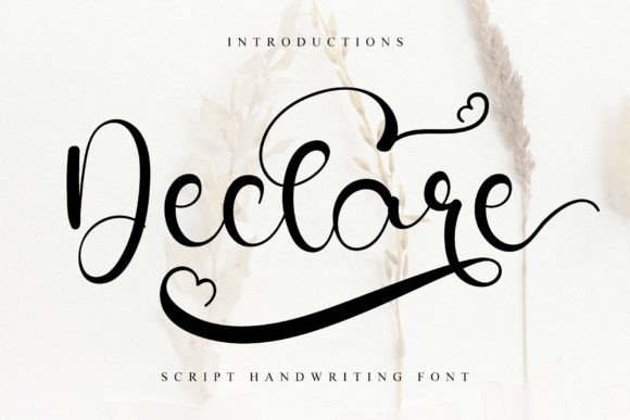 Declare: A Handwritten Typeface for Editorial Design and Publishing