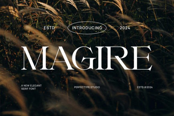 Magire Serif Typeface: A Refined Choice for Editorial Design and Publishing