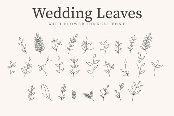 Wedding Leaves Font Review: A Botanical Dingbat Worth Testing